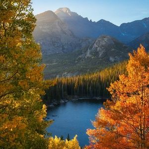 Meet your Posher, Connie